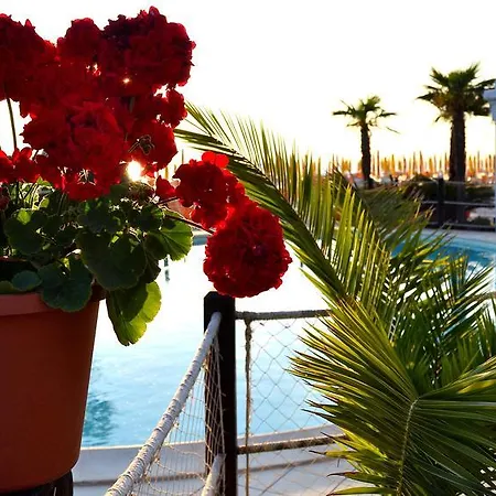 Hotel Paradise